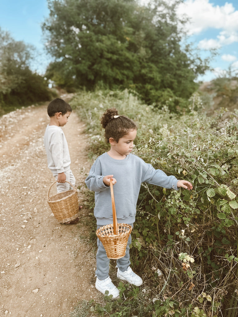 Sweatshirt and Jogger set