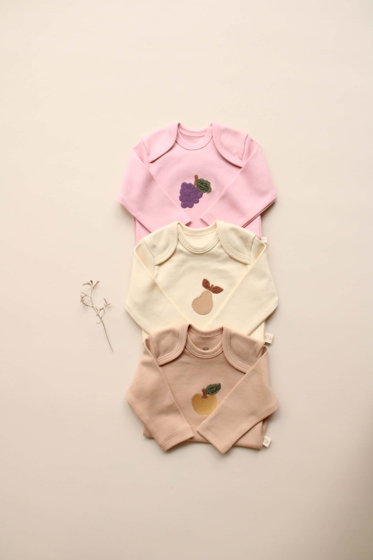 Pack of 3 bodysuits