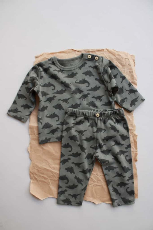 Dinosaur, top and leggings