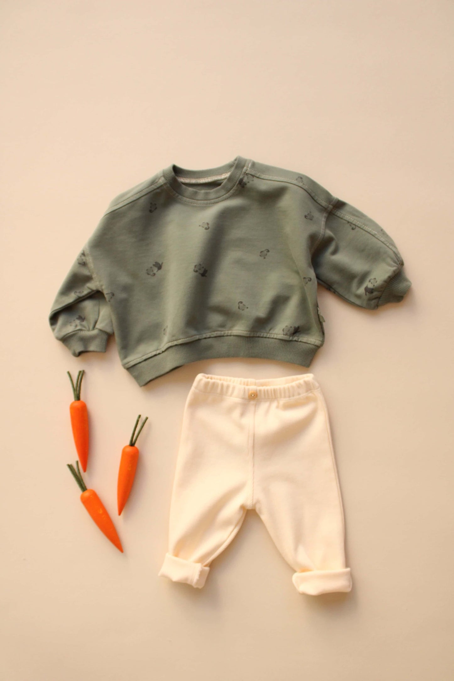 Sweatshirt and Leggings