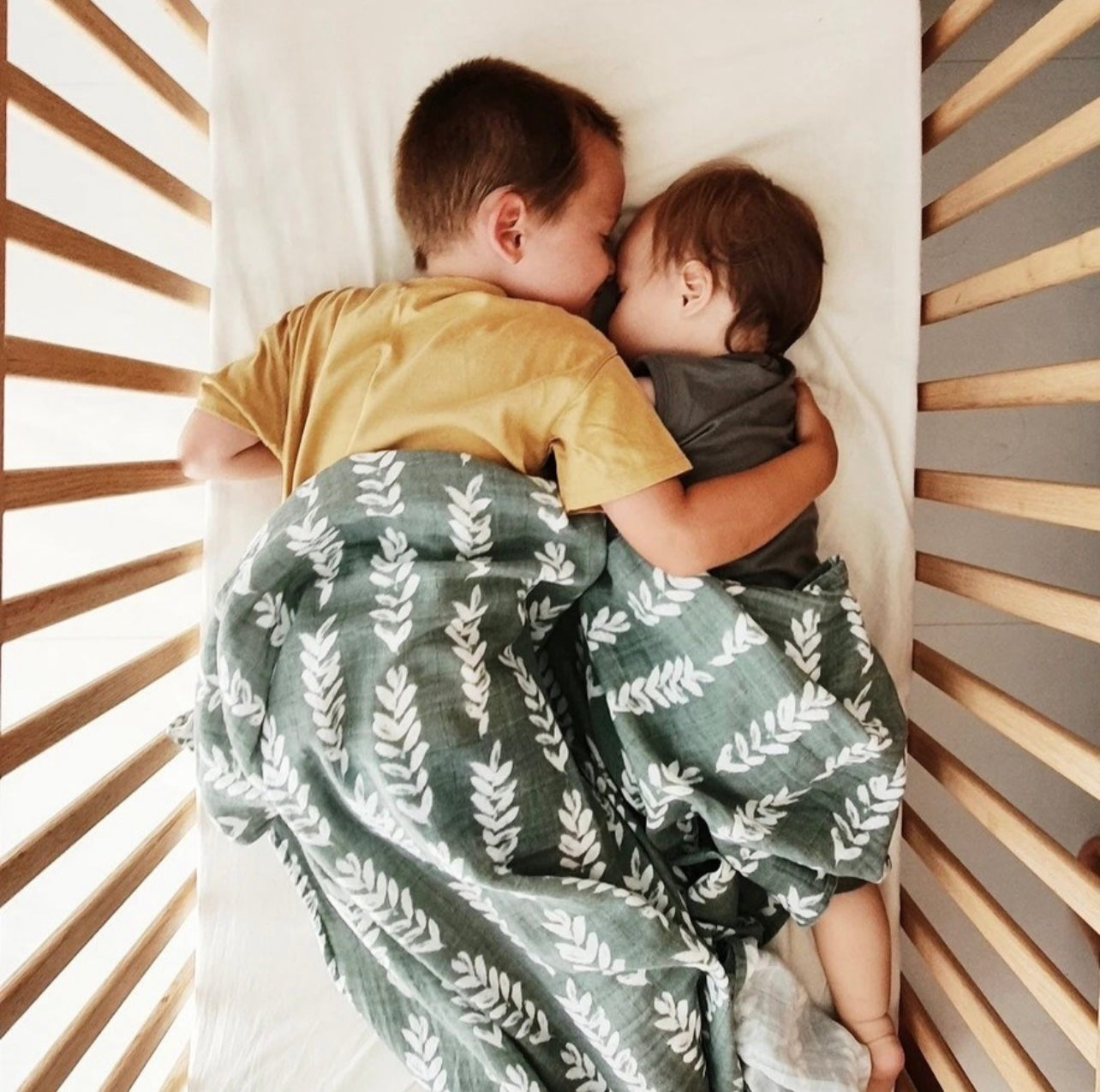 Muslin Blankets