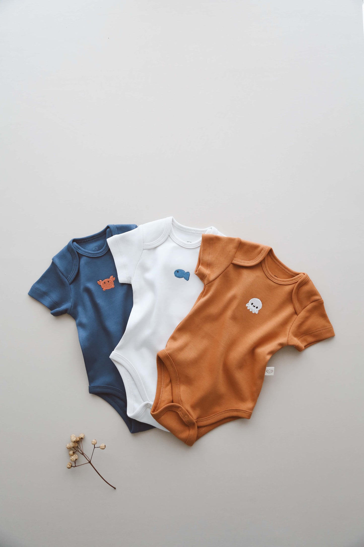 Pack of 3 bodysuits