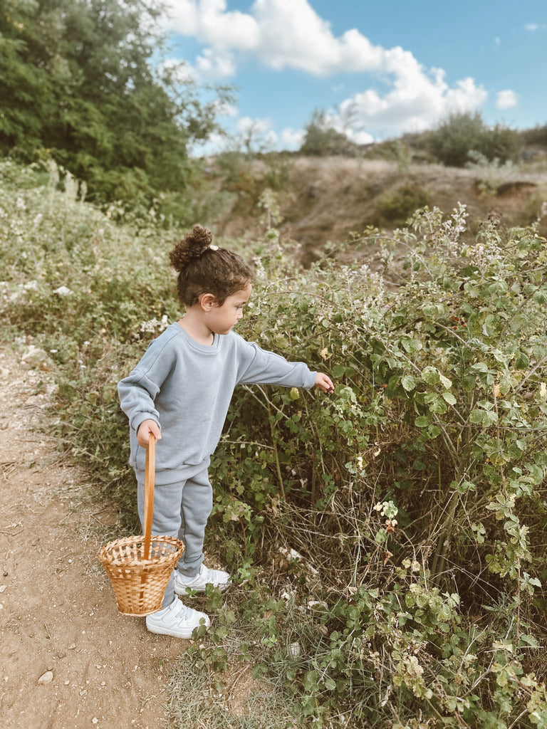 Sweatshirt and Jogger set