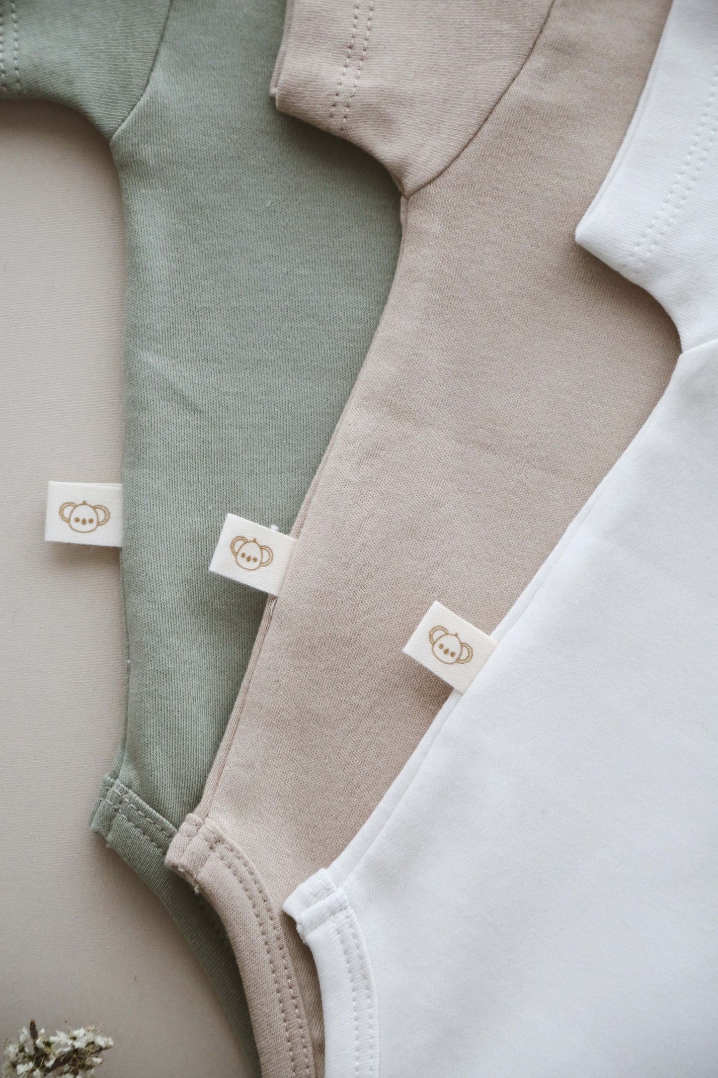 Pack of 3 bodysuits