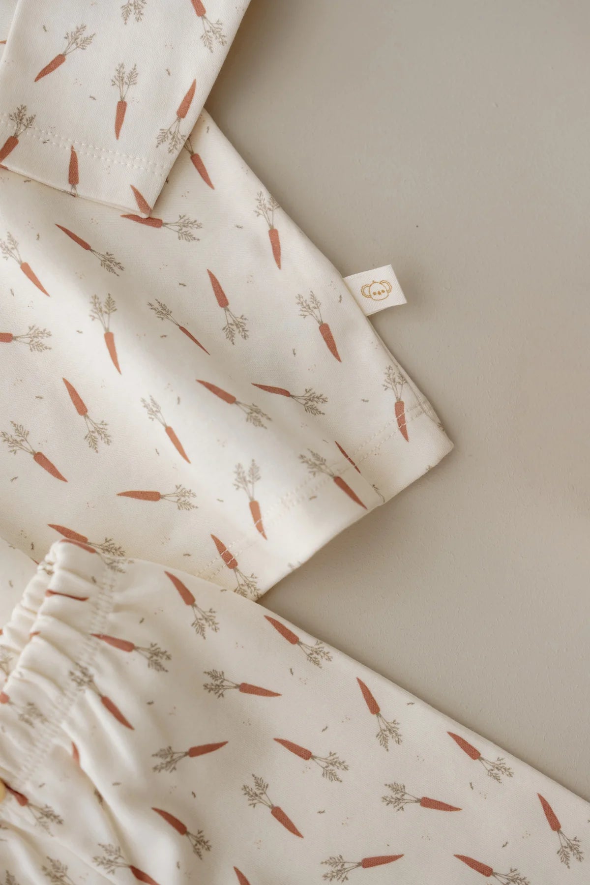 Carrot, top and leggings