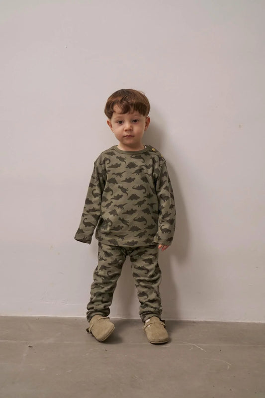 Dinosaur, top and leggings