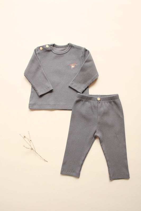 Koala Top and Leggings set