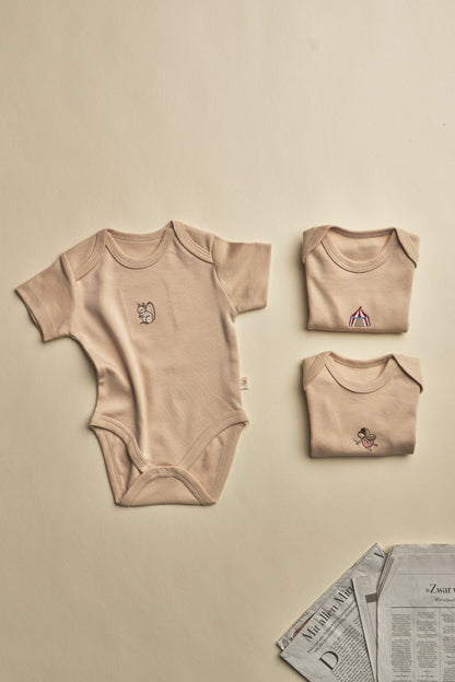 Pack of 3 bodysuits