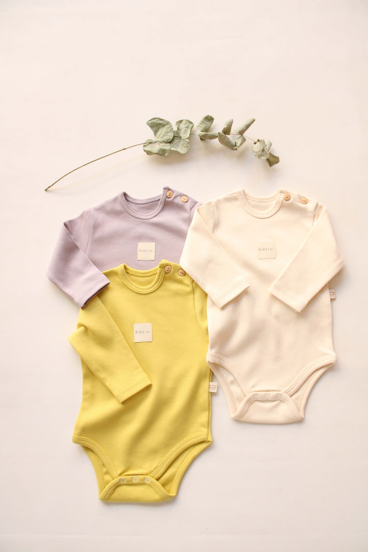 Pack of 3 bodysuits