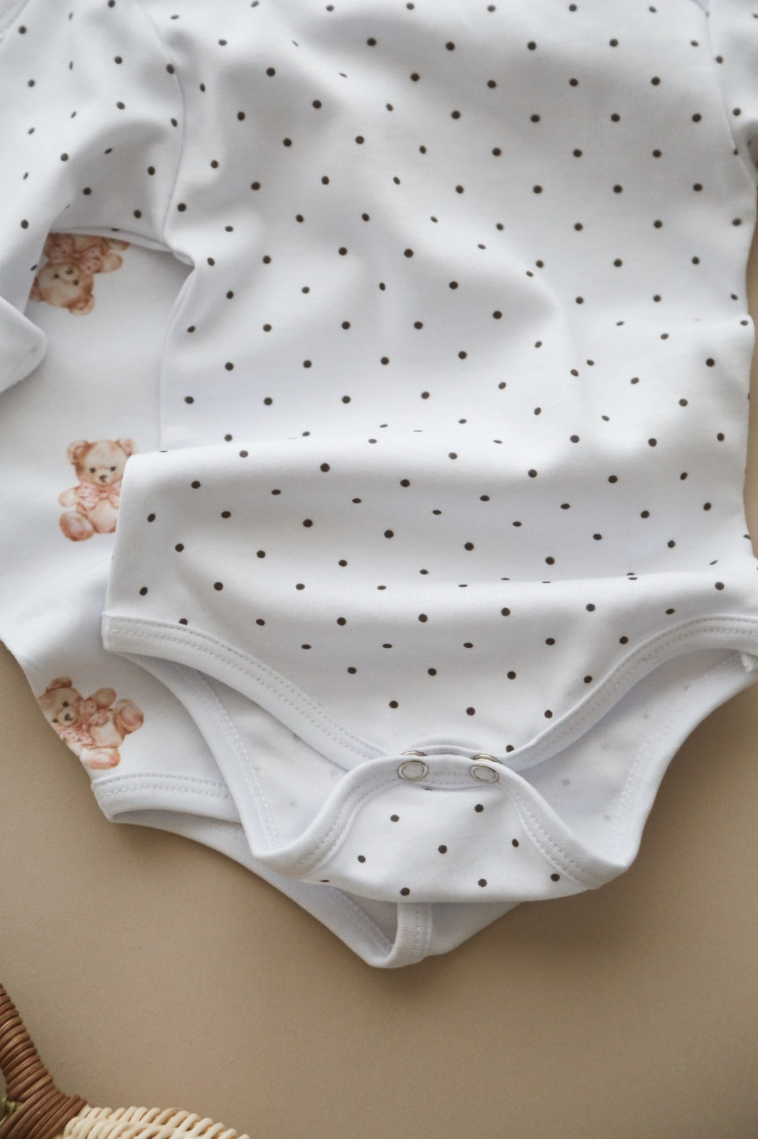 Pack of 2 bodysuits