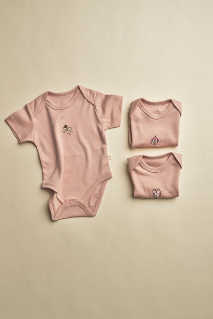 Pack of 3 bodysuits