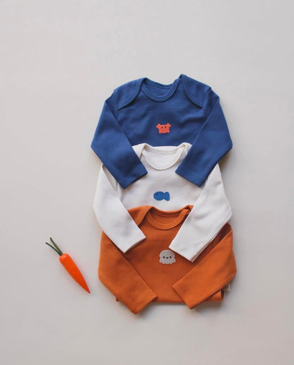Pack of 3 bodysuits